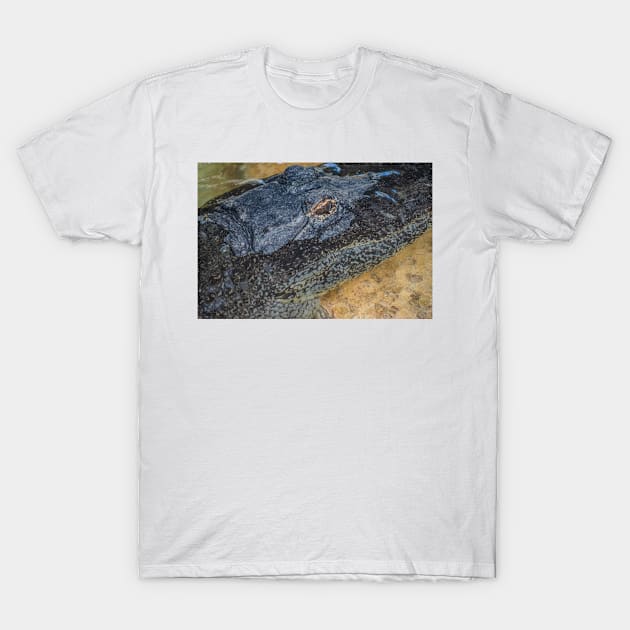 Alligator face T-Shirt by KensLensDesigns